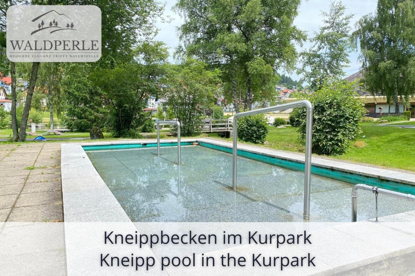 Exklusives 5-Sterne Apartment Waldperle Mit Indoor-Pool, Sauna, Top Lage Und Ausblick In Die Natur, Hunde Willkommen Schonach im Schwarzwald Экстерьер фото