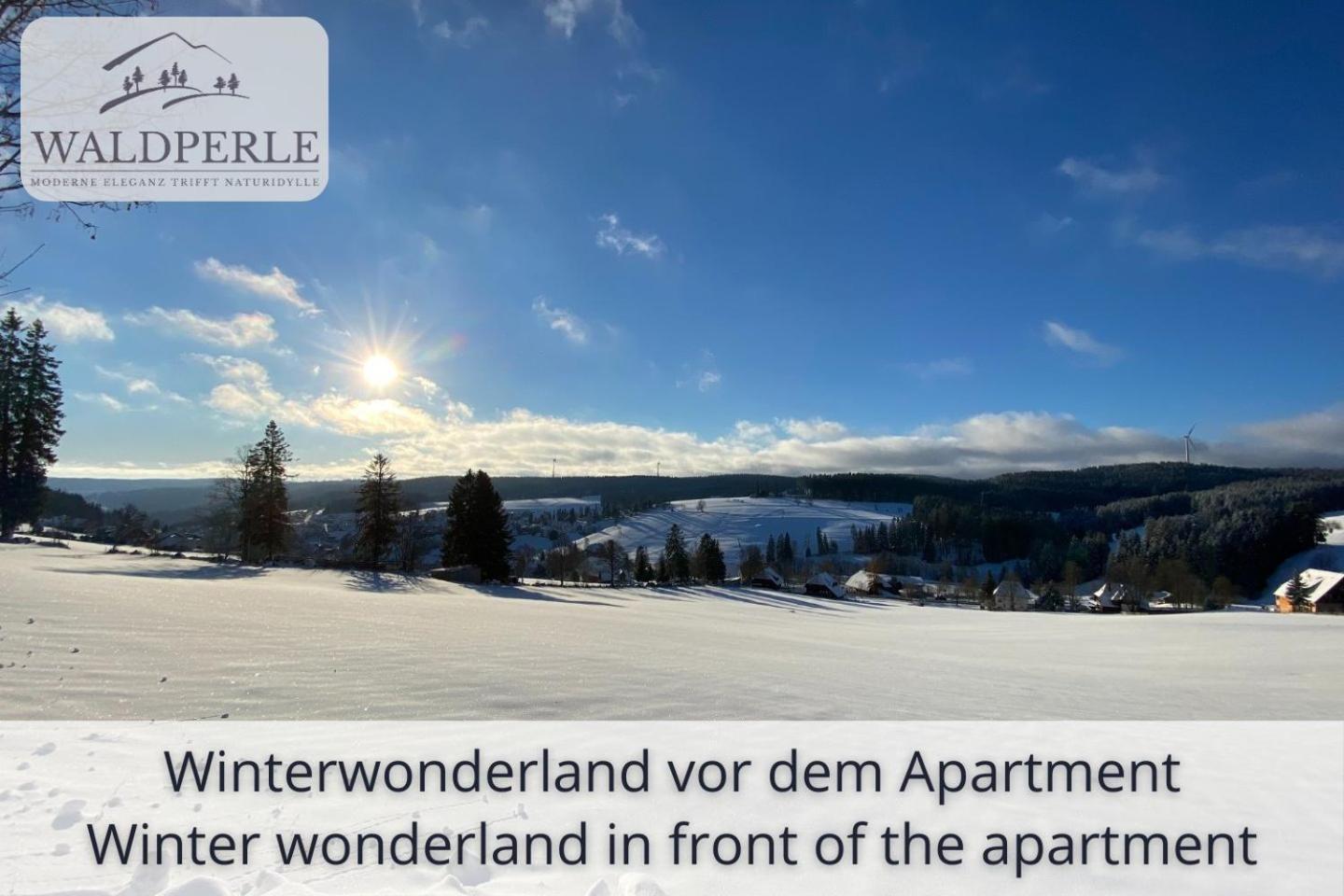 Exklusives 5-Sterne Apartment Waldperle Mit Indoor-Pool, Sauna, Top Lage Und Ausblick In Die Natur, Hunde Willkommen Schonach im Schwarzwald Экстерьер фото