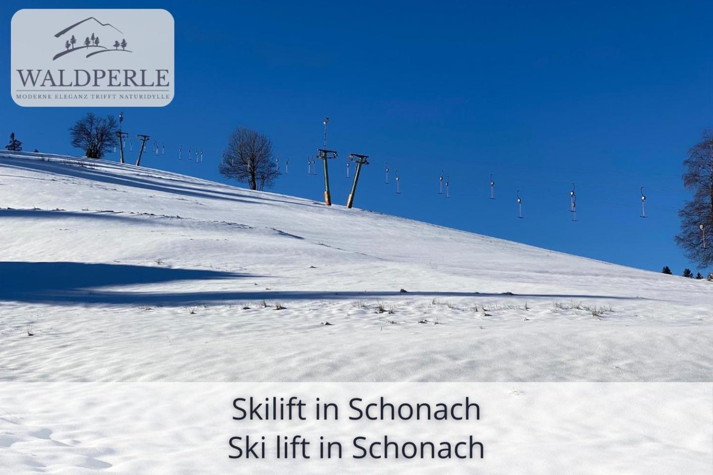 Exklusives 5-Sterne Apartment Waldperle Mit Indoor-Pool, Sauna, Top Lage Und Ausblick In Die Natur, Hunde Willkommen Schonach im Schwarzwald Экстерьер фото