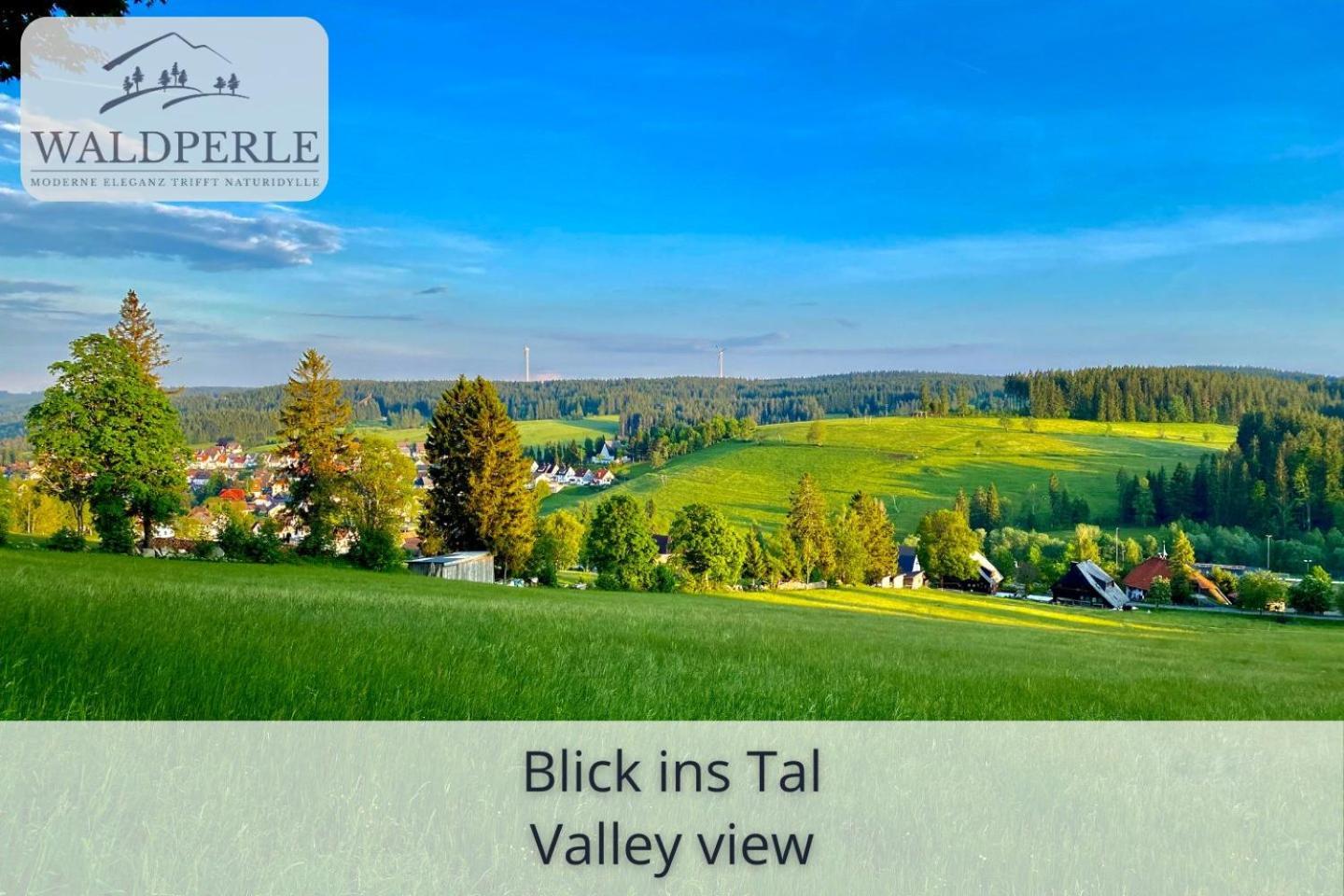 Exklusives 5-Sterne Apartment Waldperle Mit Indoor-Pool, Sauna, Top Lage Und Ausblick In Die Natur, Hunde Willkommen Schonach im Schwarzwald Экстерьер фото